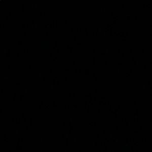 Meet your Posher, Trevor